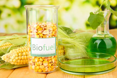 Holyford biofuel availability